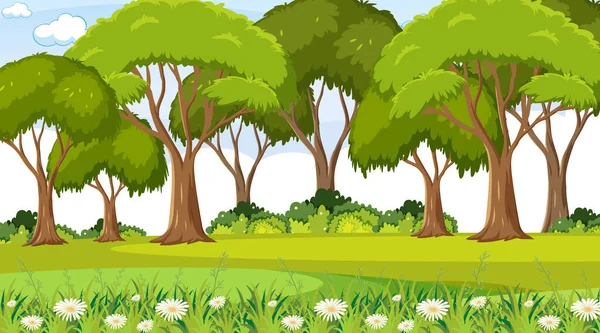 Escena Vacía Del Parque Natural Con Muchos Árboles Ilustración — Vector de stock