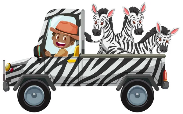 Zoo Concept Met Zebra Groep Auto Geïsoleerd Witte Achtergrond Illustratie — Stockvector