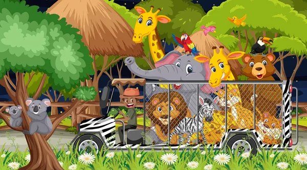 Safari Nocy Sceny Zwierzętami Klatce Samochodu Ilustracja — Wektor stockowy