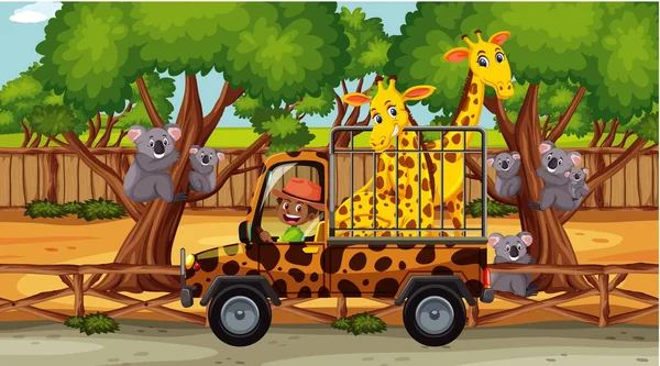 Safari Scene Met Twee Giraffen Een Kooi Auto Illustratie — Stockvector