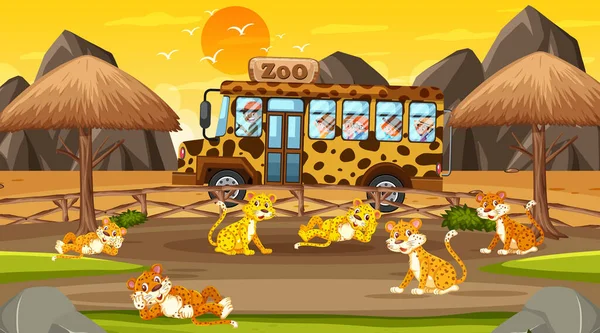 Safari Atardecer Con Muchos Niños Viendo Ilustraciones Grupos Leopardos — Archivo Imágenes Vectoriales