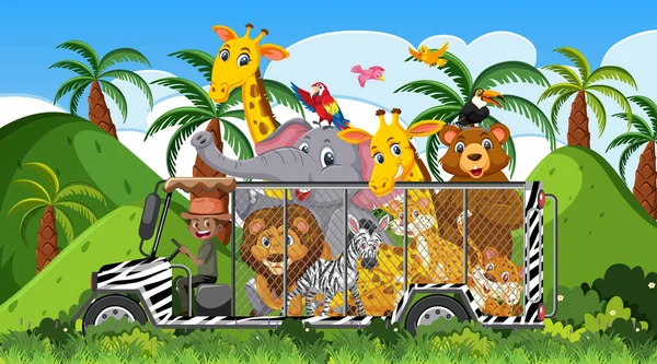 Escena Safari Con Animales Salvajes Jaula Ilustración Del Coche — Archivo Imágenes Vectoriales