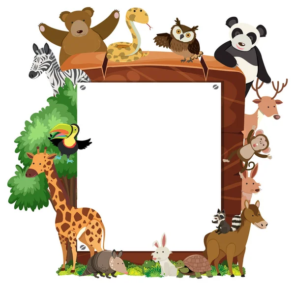 Empty Wooden Frame Various Wild Animals Illustration — Stock Vector