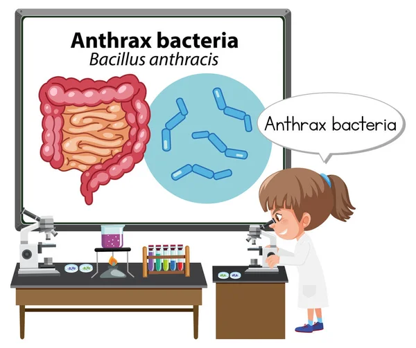 Jeune Médecin Expliquant Illustration Bactéries Anthrax — Image vectorielle