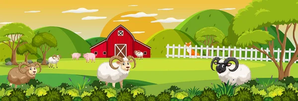 Сцена Горизонтального Ландшафта Фермы Множеством Иллюстраций Овцы — стоковый вектор