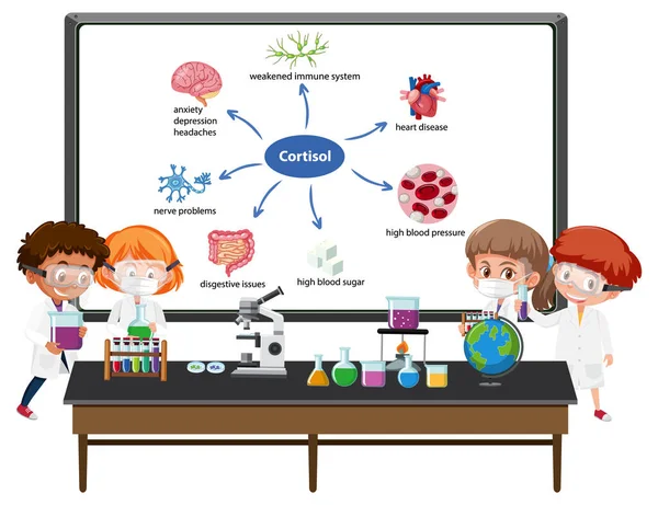 Jeune Médecin Expliquant Illustration Cortisol Hormone Stéroïde — Image vectorielle