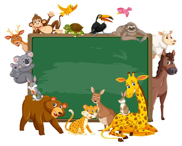 Κενός Πίνακας Διάφορα Άγρια Ζώα Εικονογράφηση — Διανυσματικό Αρχείο