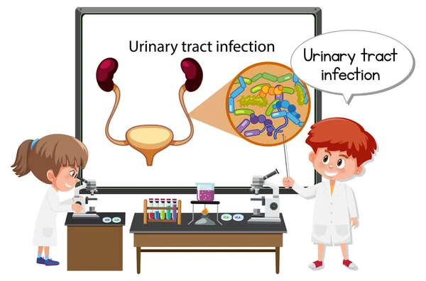 Młody Lekarz Wyjaśniający Zakażenie Dróg Moczowych Ilustracja — Wektor stockowy