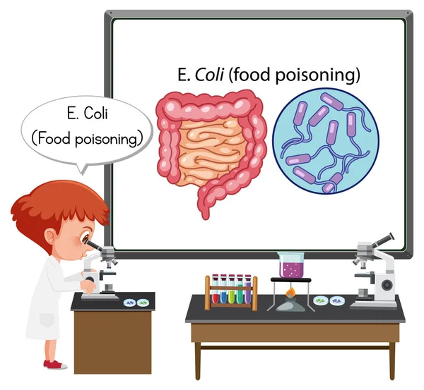 Молодий Лікар Пояснив Ілюстрацію Харчового Отруєння — стоковий вектор
