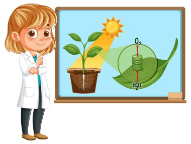Laboratuvar önlüklü çocuk güneş ışığı, kökler ve yaprak detaylarıyla bitki fotosentez diyagramını sunuyor.