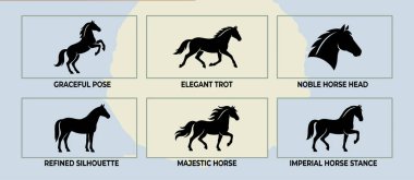 Zarif bir poz, asil bir at başı, rafine edilmiş siluet, görkemli at ve imparatorluk duruşu gibi çeşitli pozlar veren altı siyah at siluetinden oluşan çok yönlü bir koleksiyon. Logolar, simgeler ve grafik tasarım projeleri için ideal.