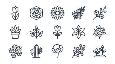Botanik çizgisi sanat sembolleri koleksiyonu. Gül, lale, zambak, kaktüs, sulu ve daha fazlası için ikonlar içerir. Ağ ve yazdırma için izole vektör ögeleri.