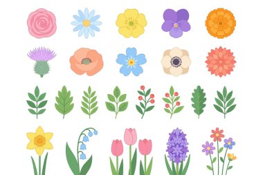 Güller, laleler, nergisler ve çeşitli yeşil yapraklar da dahil olmak üzere çeşitli izole çiçek elementleri. Düz vektör çizim biçimi botanik tasarımlar için mükemmel.