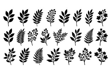 24 farklı el yapımı botanik elementten oluşan bir set. Tasarım için basit siyah bir siluet tarzında çeşitli yapraklar, dallar, böğürtlenler ve çiçekler içerir.