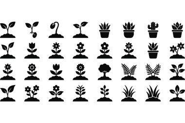 Tohum ve filizlenmeden çiçeklere, ağaçlara, kaktüslere ve eğreltiotlarına kadar bitkilerin büyümesini gösteren siyah siluet simgelerinden oluşan bir koleksiyon. Doğa ve bahçe temaları için basit vektör ögeleri.