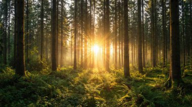 Canlı yeşil bir ormanın yoğun gölgesinden geçen altın güneş ışığının nefes kesici bir görüntüsü, sıcak, ruhani bir ışıltıyla çalılıkları aydınlatıyor..