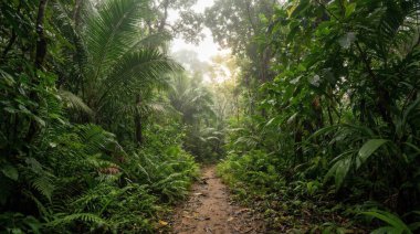 Bereketli yeşil yapraklar ve yükselen ağaçlarla çevrili, yoğun tropikal yağmur ormanlarının arasından süzülen dar bir toprak yol..