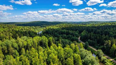 Yoğun, canlı yeşil bir ormanı gösteren geniş bir hava görüntüsü dalgalı tepeler boyunca uzanan, parlak mavi bir gökyüzü ile aydınlanan manzaranın doğal güzelliğini vurgulayan beyaz bulutlarla benekli..