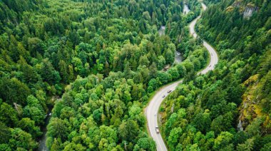 Nefes kesen bir hava perspektifi, kıvrımlı asfalt bir yolu yakalar. Yoğun, canlı yeşil bir ormanın içinden sürünerek geçer. Ağaçlardan oluşan gölgelik zengin bir doku yaratır, doğal tabiatta kıvrıldıkça yolu vurgular..