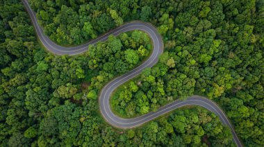Bir hava aracı, dolambaçlı bir asfalt yolu yakalıyor yoğun, canlı yeşil bir ormanın içinden yılan gibi geçiyor, doğanın ve insan altyapısının güzelliğini gösteriyor..
