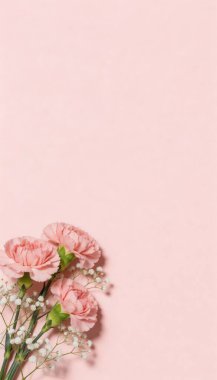 Zarif pembe karanfiller ve beyaz bebek soluklu çiçekler, zarif, sağlam pembe bir arka plana ustalıkla yerleştirilmiş, huzurlu ve büyüleyici bir görsel yaratıyor..