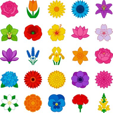 Her biri güller, laleler, orkideler ve daha fazlası dahil olmak üzere farklı bir çiçeği temsil eden 25 renk ikonundan oluşan bir set, temiz beyaz bir arkaplanda sunulmaktadır..