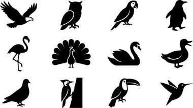 A collection of twelve distinct bird silhouettes, including an eagle, owl, parrot, penguin, flamingo, peacock, swan, duck, pigeon, woodpecker, toucan, and hummingbird, presented on a clean white background.