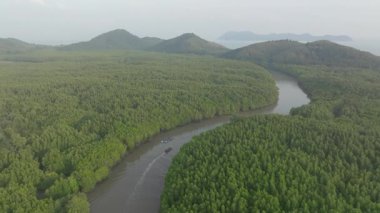 Yoğun yeşil mangrov ormanları boyunca sarmal nehir manzarası sisli gökyüzü altında uzak tepeler, Tayland 'ın Koh Yao Yai kentindeki sakin tropikal doğa manzarası..