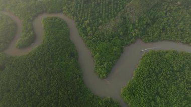 Yoğun yeşil mangrov ormanları boyunca sarmal nehir manzarası sisli gökyüzü altında uzak tepeler, Tayland 'ın Koh Yao Yai kentindeki sakin tropikal doğa manzarası..