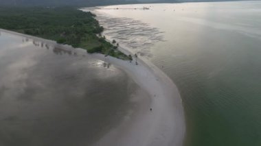 Kıvrımlı kumlu bir sahil manzarası Laem Haad ve kumsalın buluşması sakin yeşilimsi su, mangrov ormanı ve yayılmış palmiye ağaçları Koh Yao Yai, Tayland 'da