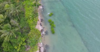 Yoğun yeşil ormanı ve durgun turkuaz suyu ve dar kumlu Tayland kıyı şeridini çevreleyen palmiye ağaçları olan tropikal bir kıyı şeridi.