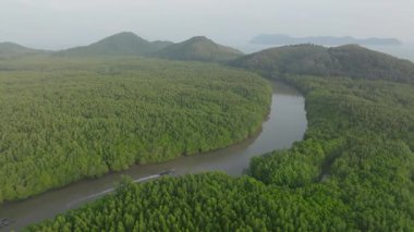 Bereketli yeşil mangrov ormanlarını kesen dolambaçlı bir nehrin hava manzarası sisli gökyüzü altındaki uzak tepeler, sakin tropikal yaban hayatı..