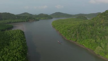 Tayland 'daki Koh Yao Yai' de sakin bir sabah sırasında mangrov nehri deltasından denize giden uzun kuyruklu bir balıkçının havadan çekilmiş görüntüsü..