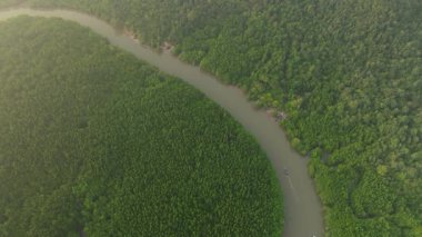 Yoğun tropikal yağmur ormanlarının ortasından geçen dolambaçlı bir nehrin havadan görünüşü, durgun sudaki küçük teknelerle yemyeşil bir manzara, doğal doğa manzarası..