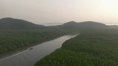 Sakin bir nehir boyunca hızla ilerleyen uzun kuyruklu bir teknenin havadan görünüşü yemyeşil yağmur ormanları ve bulutlu bir gökyüzünün altındaki uzak dağlar..
