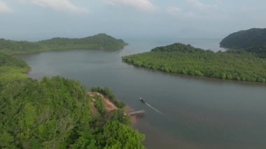Tayland 'daki Koh Yao Yai' de sakin bir sabah sırasında mangrov nehri deltasından denize giden uzun kuyruklu bir balıkçının havadan çekilmiş görüntüsü..