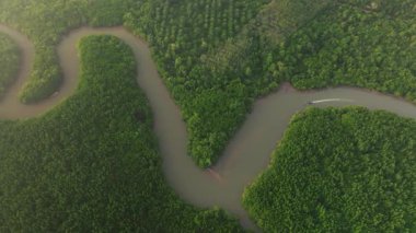 Yoğun yeşil mangrov ormanları boyunca sarmal nehir manzarası sisli gökyüzü altında uzak tepeler, Tayland 'ın Koh Yao Yai kentindeki sakin tropikal doğa manzarası..