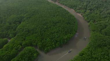 Hava tropikal nehir mangrovları Tayland uzun kuyruklu teknesi, yüzen ahşap balıkçı platformuna yaklaşıyor.