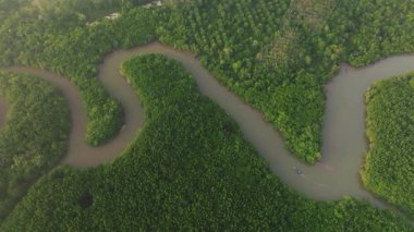 Yoğun yeşil mangrov ormanları boyunca sarmal nehir manzarası sisli gökyüzü altında uzak tepeler, Tayland 'ın Koh Yao Yai kentindeki sakin tropikal doğa manzarası..