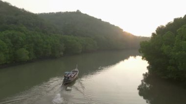 Tayland 'ın Koh Yao Yai kentinde, gündoğumunda sakin bir nehirde mangrovlarda uçan uzun kuyruklu balıkçı.
