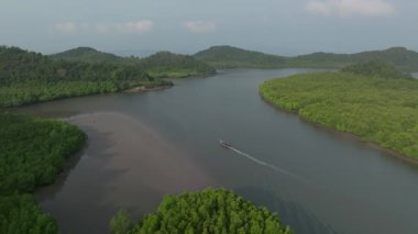 Hava mangrovları Tayland nehir adası