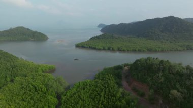 Tayland 'daki Koh Yao Yai' de sakin bir sabah sırasında mangrov nehri deltasından denize giden uzun kuyruklu bir balıkçının havadan çekilmiş görüntüsü..