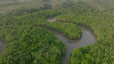 Yoğun yeşil mangrov ormanları boyunca sarmal nehir manzarası sisli gökyüzü altında uzak tepeler, Tayland 'ın Koh Yao Yai kentindeki sakin tropikal doğa manzarası..