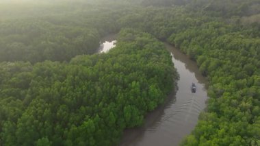 Kıvrımlı bir nehrin havadan görünüşü yoğun yeşil yağmur ormanlarını kesiyor. Küçük bir tekne ardında iz bırakıyor. Tayland 'daki Koh Yao Yai gölgesinde sisli bir ışık..