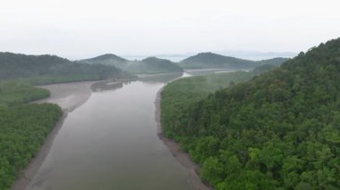 Koh Yao Yai, Tayland 'daki tropik ada sisli nehir.