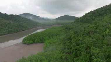 Hava kırsal tropikal ada sisi Tayland nehri