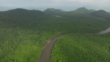 Tropik havacılık adası Mangrove nehri uzun kuyruklu teknesi okyanus ve tepeler arasında yol alıyor. Sabahın erken saatlerinde Koh Yao Yai, Tayland 'da balıkçılık..