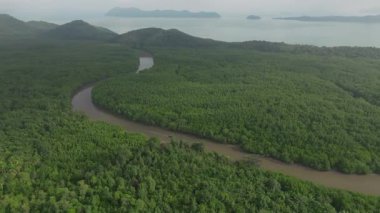 Tropik havacılık adası Mangrove nehri uzun kuyruklu teknesi okyanus ve tepeler arasında yol alıyor. Sabahın erken saatlerinde Koh Yao Yai, Tayland 'da balıkçılık..
