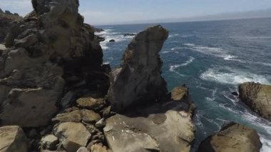 Similan Adaları Tayland Ulusal Parkı 'nda sualtı sarı çizgili balık