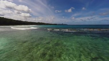 Similan Adaları Tayland Ulusal Parkı 'nda sualtı sarı çizgili balık